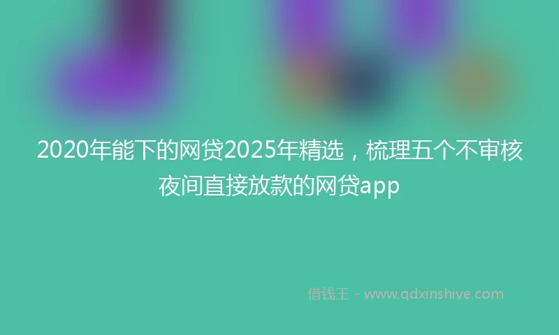 2020年能下的网贷2025年精选，梳理五个不审核夜间直接放款的网贷app