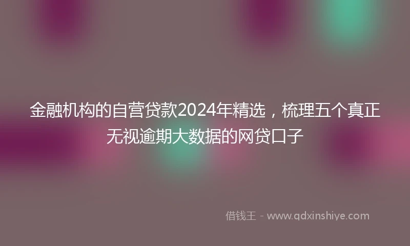 金融机构的自营贷款2024年精选，梳理五个真正无视逾期大数据的网贷口子