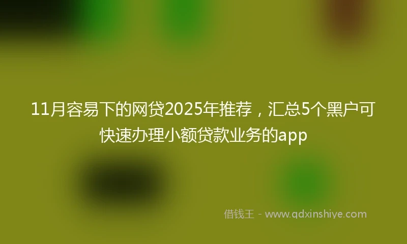 11月容易下的网贷2025年推荐，汇总5个黑户可快速办理小额贷款业务的app