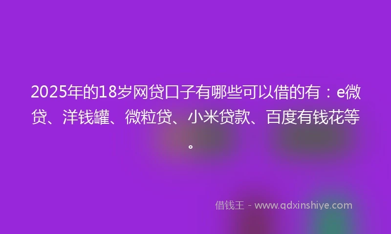 2025年的18岁网贷口子有哪些可以借的有：e微贷、洋钱罐、微粒贷、小米贷款、百度有钱花等。