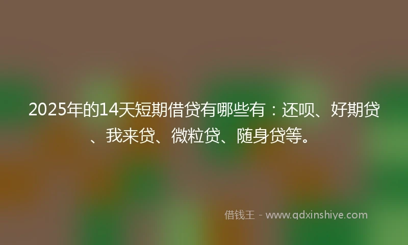2025年的14天短期借贷有哪些有：还呗、好期贷、我来贷、微粒贷、随身贷等。