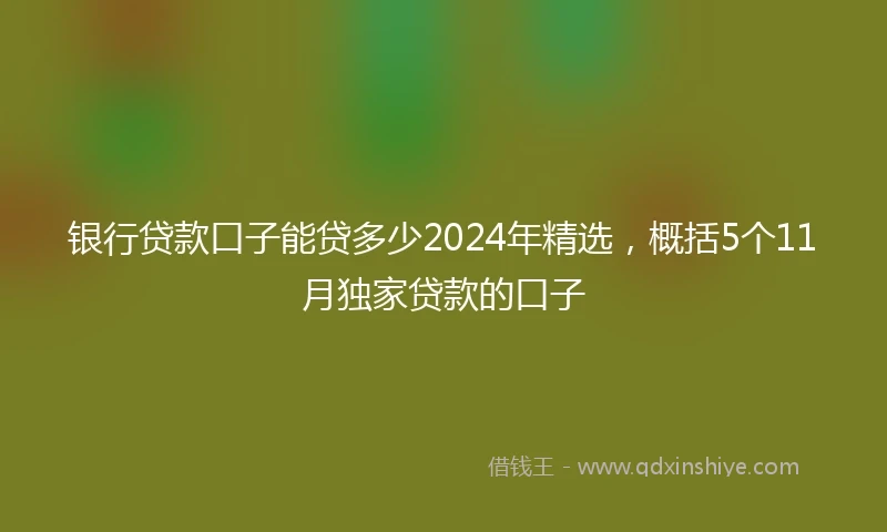 银行贷款口子能贷多少2024年精选，概括5个11月独家贷款的口子