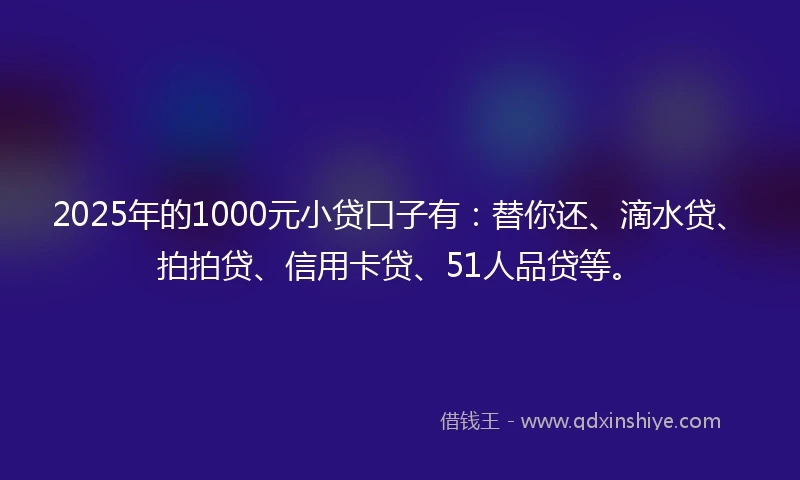 2025年的1000元小贷口子有：替你还、滴水贷、拍拍贷、信用卡贷、51人品贷等。