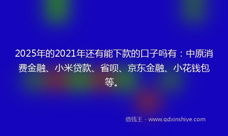2025年的2021年还有能下款的口子吗有：中原消费金融、小米贷款、省呗、京东金融、小花钱包等。