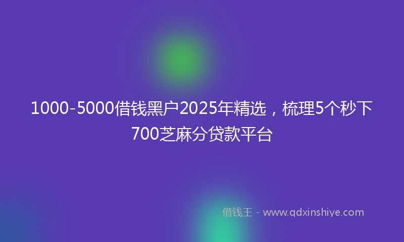 1000-5000借钱黑户2025年精选，梳理5个秒下700芝麻分贷款平台