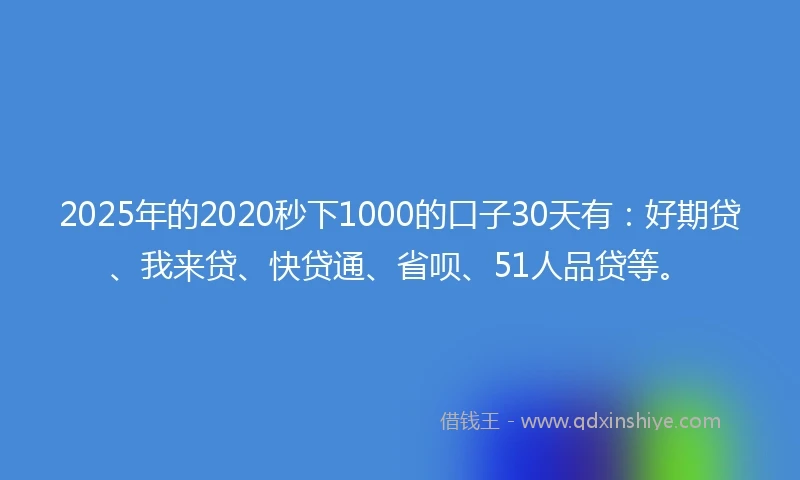 2025年的2020秒下1000的口子30天有：好期贷、我来贷、快贷通、省呗、51人品贷等。