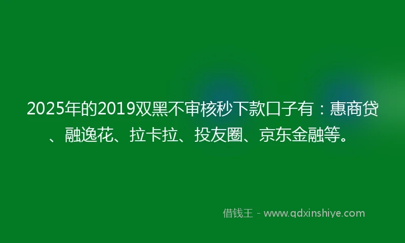 2025年的2019双黑不审核秒下款口子有：惠商贷、融逸花、拉卡拉、投友圈、京东金融等。