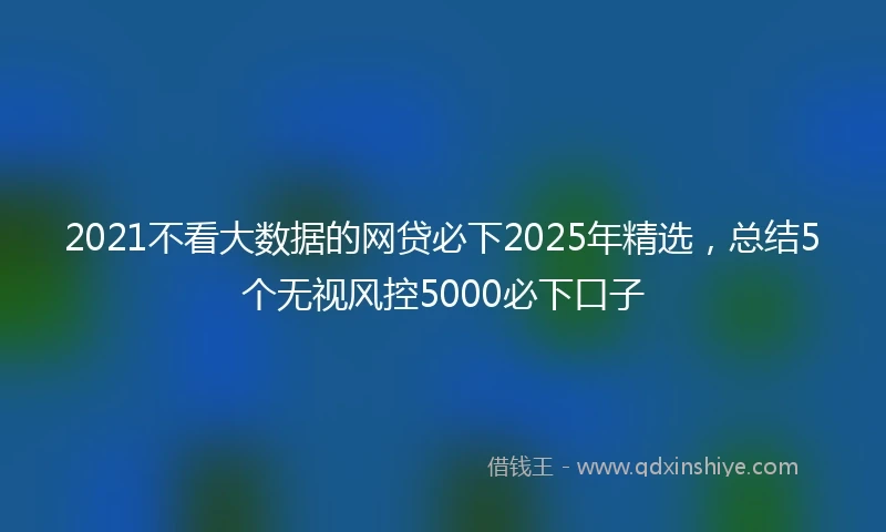 2021不看大数据的网贷必下2025年精选，总结5个无视风控5000必下口子