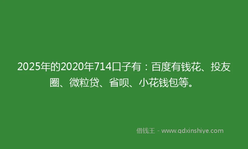 2025年的2020年714口子有：百度有钱花、投友圈、微粒贷、省呗、小花钱包等。