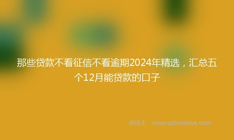 那些贷款不看征信不看逾期2024年精选，汇总五个12月能贷款的口子