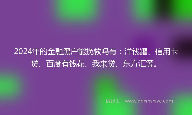 2024年的金融黑户能挽救吗有：洋钱罐、信用卡贷、百度有钱花、我来贷、东方汇等。