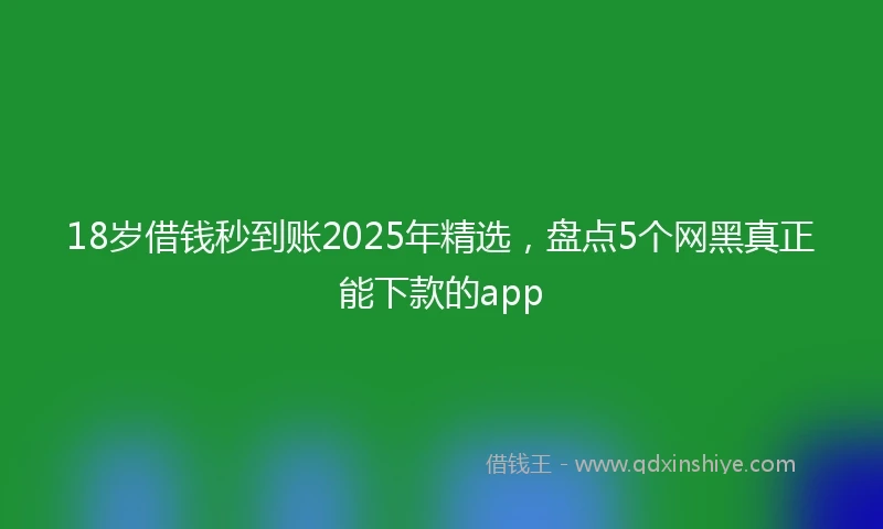 18岁借钱秒到账2025年精选，盘点5个网黑真正能下款的app