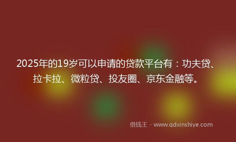 2025年的19岁可以申请的贷款平台有：功夫贷、拉卡拉、微粒贷、投友圈、京东金融等。