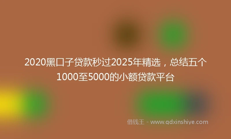 2020黑口子贷款秒过2025年精选，总结五个1000至5000的小额贷款平台