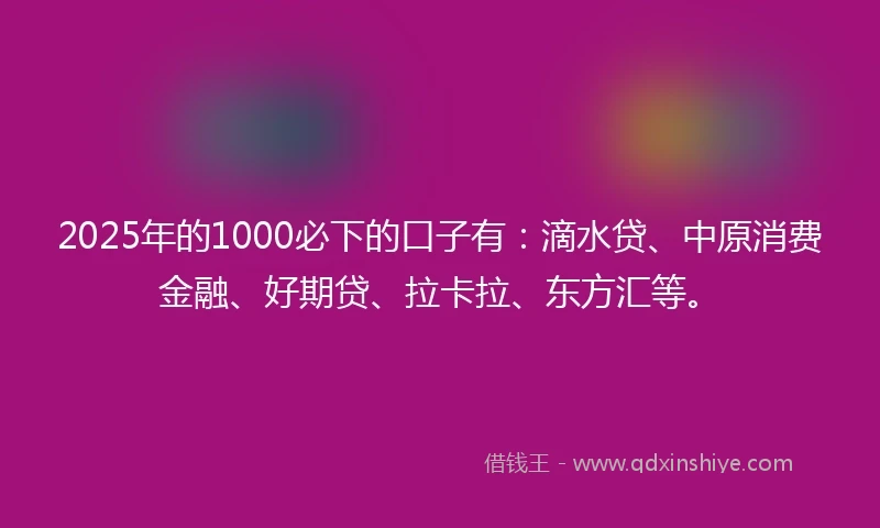 2025年的1000必下的口子有：滴水贷、中原消费金融、好期贷、拉卡拉、东方汇等。