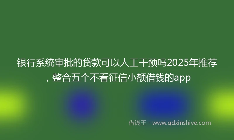 银行系统审批的贷款可以人工干预吗2025年推荐，整合五个不看征信小额借钱的app