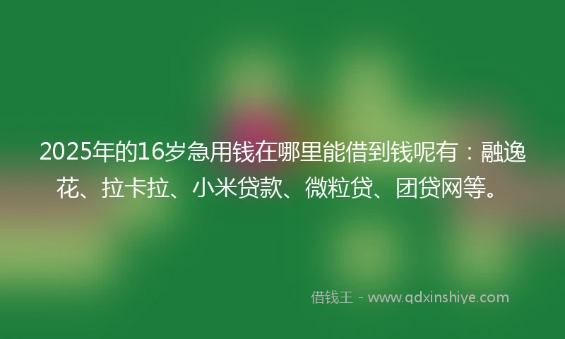 2025年的16岁急用钱在哪里能借到钱呢有：融逸花、拉卡拉、小米贷款、微粒贷、团贷网等。