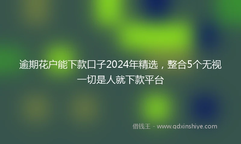 逾期花户能下款口子2024年精选，整合5个无视一切是人就下款平台