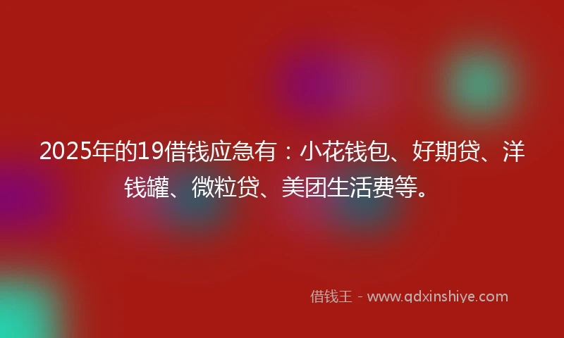 2025年的19借钱应急有：小花钱包、好期贷、洋钱罐、微粒贷、美团生活费等。