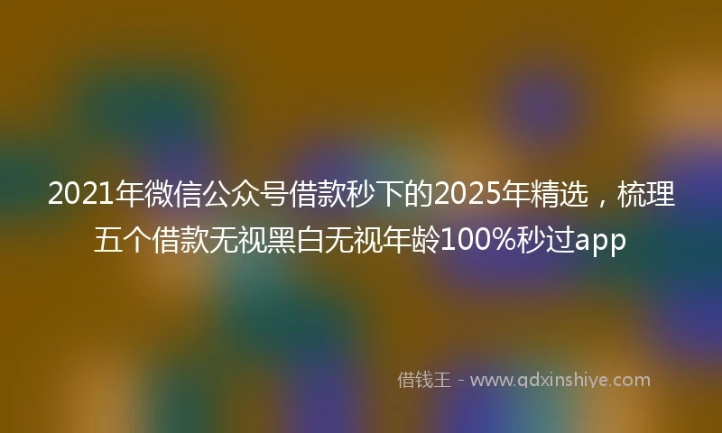 2021年微信公众号借款秒下的2025年精选，梳理五个借款无视黑白无视年龄100%秒过app
