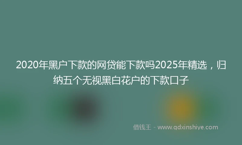 2020年黑户下款的网贷能下款吗2025年精选，归纳五个无视黑白花户的下款口子