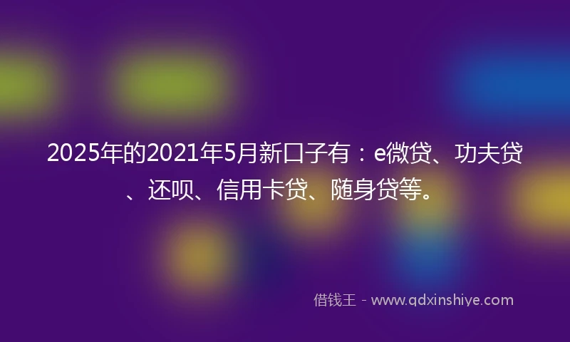 2025年的2021年5月新口子有：e微贷、功夫贷、还呗、信用卡贷、随身贷等。