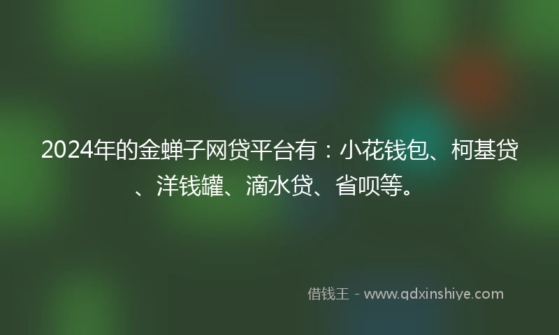 2024年的金蝉子网贷平台有：小花钱包、柯基贷、洋钱罐、滴水贷、省呗等。