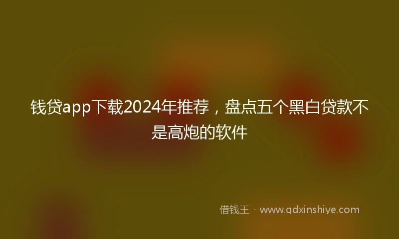 钱贷app下载2024年推荐，盘点五个黑白贷款不是高炮的软件