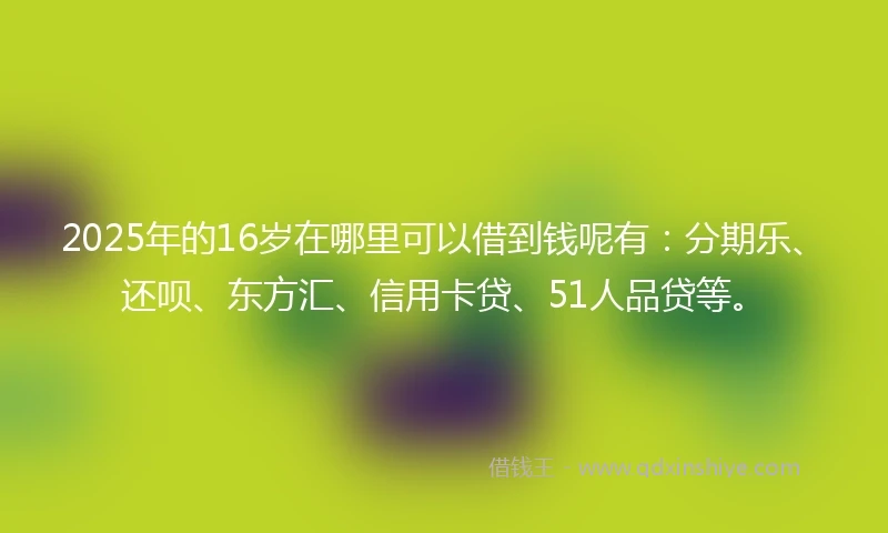 2025年的16岁在哪里可以借到钱呢有：分期乐、还呗、东方汇、信用卡贷、51人品贷等。