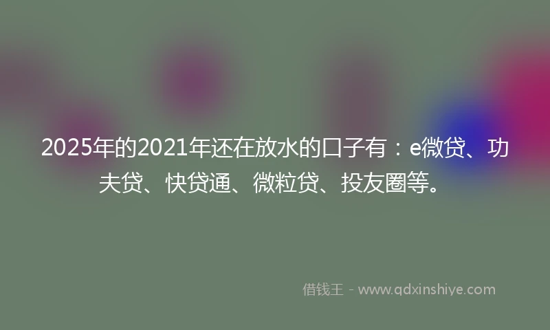 2025年的2021年还在放水的口子有：e微贷、功夫贷、快贷通、微粒贷、投友圈等。