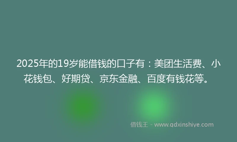2025年的19岁能借钱的口子有：美团生活费、小花钱包、好期贷、京东金融、百度有钱花等。
