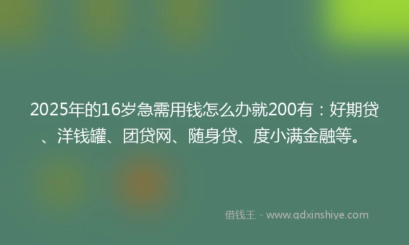 2025年的16岁急需用钱怎么办就200有：好期贷、洋钱罐、团贷网、随身贷、度小满金融等。