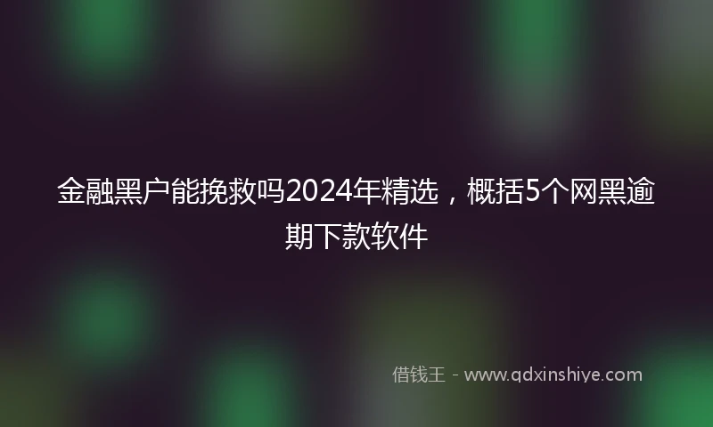 金融黑户能挽救吗2024年精选，概括5个网黑逾期下款软件
