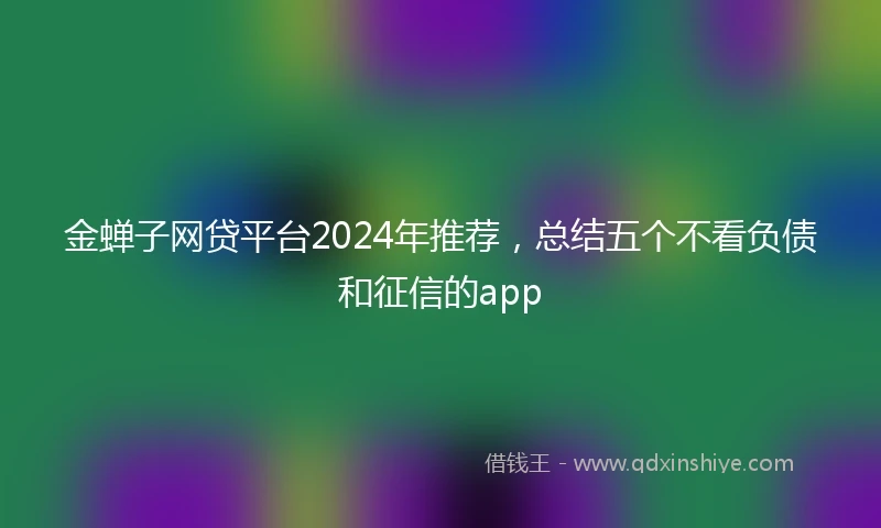 金蝉子网贷平台2024年推荐，总结五个不看负债和征信的app