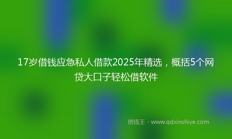 17岁借钱应急私人借款2025年精选，概括5个网贷大口子轻松借软件