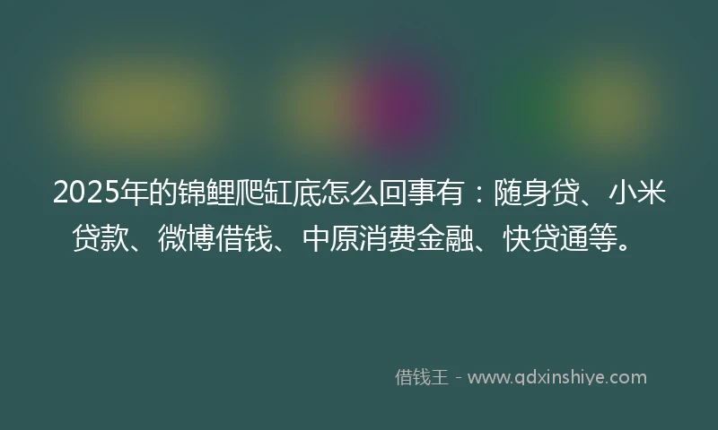 2025年的锦鲤爬缸底怎么回事有：随身贷、小米贷款、微博借钱、中原消费金融、快贷通等。