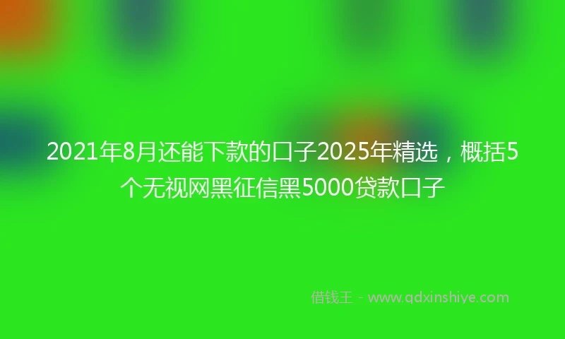 2021年8月还能下款的口子2025年精选，概括5个无视网黑征信黑5000贷款口子
