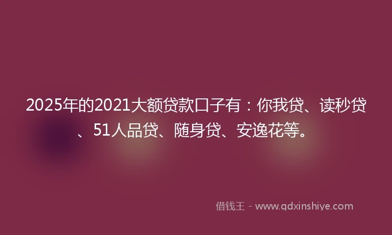 2025年的2021大额贷款口子有：你我贷、读秒贷、51人品贷、随身贷、安逸花等。