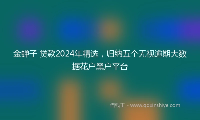 金蝉子 贷款2024年精选，归纳五个无视逾期大数据花户黑户平台