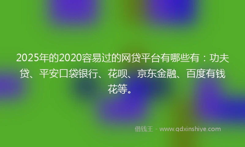 2025年的2020容易过的网贷平台有哪些有：功夫贷、平安口袋银行、花呗、京东金融、百度有钱花等。