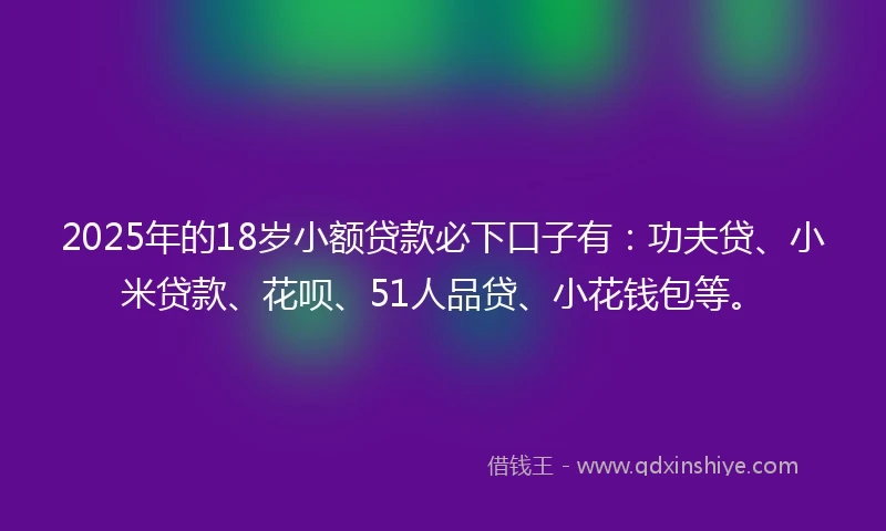 2025年的18岁小额贷款必下口子有：功夫贷、小米贷款、花呗、51人品贷、小花钱包等。