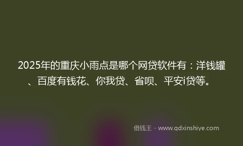 2025年的重庆小雨点是哪个网贷软件有：洋钱罐、百度有钱花、你我贷、省呗、平安i贷等。
