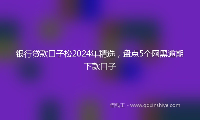 银行贷款口子松2024年精选，盘点5个网黑逾期下款口子