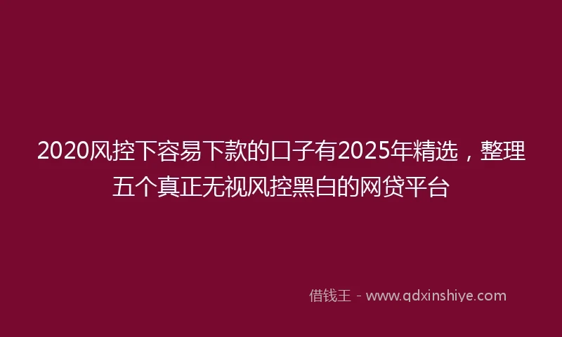 2020风控下容易下款的口子有2025年精选，整理五个真正无视风控黑白的网贷平台