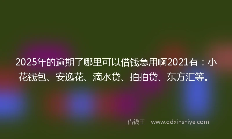 2025年的逾期了哪里可以借钱急用啊2021有：小花钱包、安逸花、滴水贷、拍拍贷、东方汇等。
