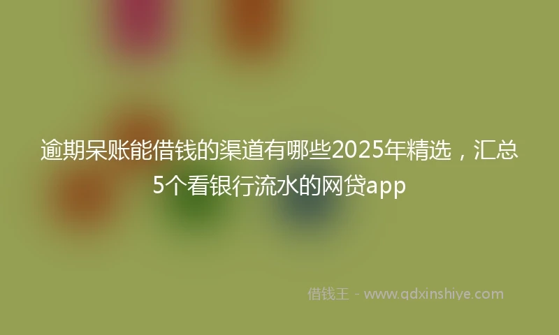 逾期呆账能借钱的渠道有哪些2025年精选，汇总5个看银行流水的网贷app