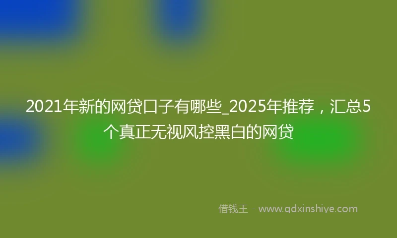 2021年新的网贷口子有哪些_2025年推荐，汇总5个真正无视风控黑白的网贷