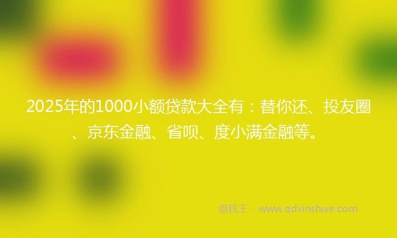 2025年的1000小额贷款大全有：替你还、投友圈、京东金融、省呗、度小满金融等。