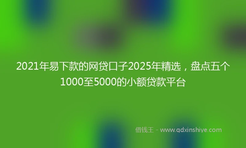 2021年易下款的网贷口子2025年精选，盘点五个1000至5000的小额贷款平台