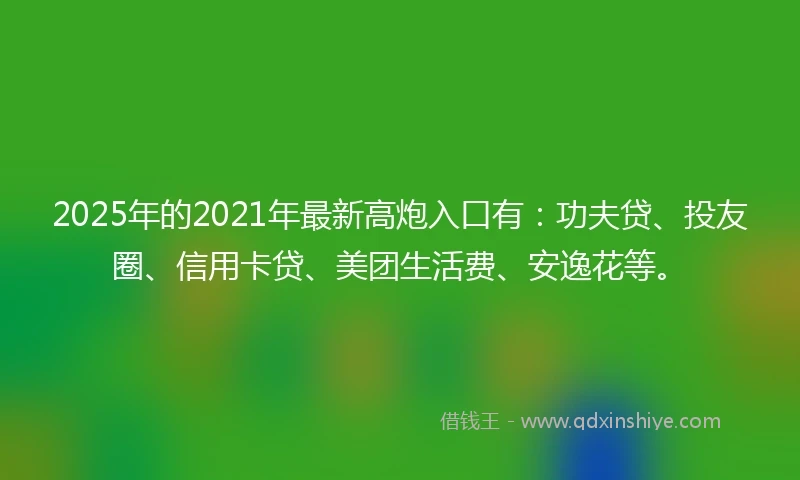 2025年的2021年最新高炮入口有：功夫贷、投友圈、信用卡贷、美团生活费、安逸花等。